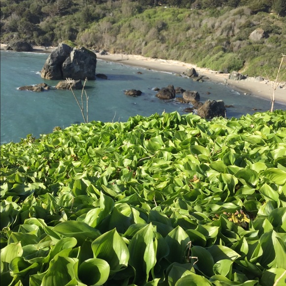 Meet your Posher, Andrew - Picture 1 of 1